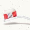 Beaphar Double Ended Toothbrush view 3