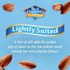 Blue Diamond Almonds Low Sodium Lightly Salted Snack Nuts, 16 Oz Resealable Bag (Pack of 1) view 2