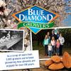 Blue Diamond Almonds Low Sodium Lightly Salted Snack Nuts, 16 Oz Resealable Bag (Pack of 1) view 4