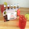 Monin - 5 Flavor Classic Cocktail Collection: Pomegranate, Mojito, Agave Nectar, Mango, and Pure Cane Syrups, Great for Classic Happy Hour Cocktails, Non-GMO, Gluten-Free (50 ml per bottle) view 3