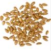 Palouse Brand Certified Glyphosate Residue Free Soft White Wheat Berries | 5 LBS | Family Farmed in Washington State | Non-GMO Project Verified | Kosher | Field Traced view 3