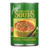 Amys Soup Lentil Vegetable Gf view 1