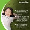 NaturesPlus Animal Parade KidGreenz - 90 Animal-Shaped Chewable Tablets, Pack of 3 - Includes Superfood Blend - Vegetarian, Gluten Free - 270 Total Servings view 4