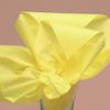 Daffodil Yellow Tissue Papers 20" X 26" | Quantity: 400 view 1