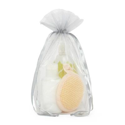 Silver Organza Bags | Quantity: 10 | Width: 4"