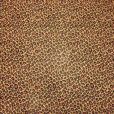 Paper Mart Leopard Tissue Paper, 20 x 30 Inch Sheets of Decorative Tissue Paper in Animal Print, Bulk Quantity of 200 Sheets for Gift Wrapping