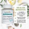 Transformation The Genesis of Good Health Enzymes Professional Protocol Liver Support Formula Supplement with Vitamin A, Herbal Blend & Digestive Enzymes - 60 Capsules view 2