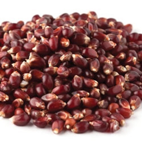 Red Popcorn ~ 2 Lb Bag