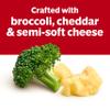 Campbell's Condensed Broccoli Cheese Soup, 10.5 oz Can (12 Pack) view 4