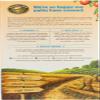 2 Savers Package:Nature's Path Flax Plus Cereal (12x13.25 Oz) view 3