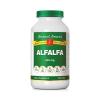 Alfalfa Leaf 550 mg 500 Tabs - Bernard Jensen view 1