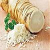 Horseradish Root, Big Top Western, 8 ounces (Sold by Weight). Great for Planting, Seasoning or Sauces. A taste delight. view 1