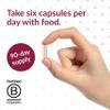 Bariatric Advantage Multi Formula Without Iron - High Potency Daily Multivitamin for Bariatric Surgery Patients - 22 Essential Vitamins and Nutrients - 540 Count view 3