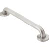 Concealed Grab Bar 48X1.25 Peened Sl view 1