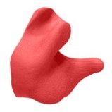 Radians Reusable Custom Molded Earplugs, Red, Poly Bag Included, Lot 12
