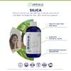 Zemvelo Liquid Ionic Silica - Hair, Skin & Nails Nutrition | Collagen Support | Joint Support for Health Tendons & Cartilage | 8 oz, 48 Day Supply view 3