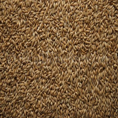 CaraFoam Malt (1 lb)