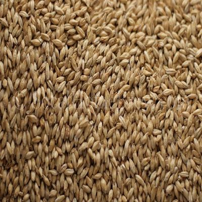 2-Row (Domestic) (5 lb)