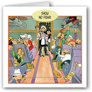 Stonehouse Collection |The Old Pro Funny Airplane Pilot Note Card | 10 Boxed Airplane Note Cards & Envelopes | Pilot Gift (Flight Attendant)