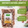 Amazon Title: Mushroom House Dried Shiitake Premium Mushrooms, Whole, 16 oz - Naturally Dried, Rich Umami Flavor - Ideal for Stir-Fries, Soups, Ramen, Stews, and More - Long Shelf Life, Clean and Ready for Cooking view 3