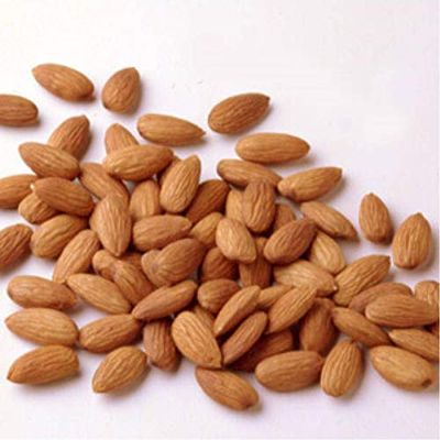 Azar Nut Bakers Select Raw Whole Almond, 10 Pound -- 1 each.