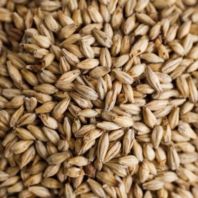 Gambrinus Honey Malt Brewing Malt Whole Grain 1lb Bag