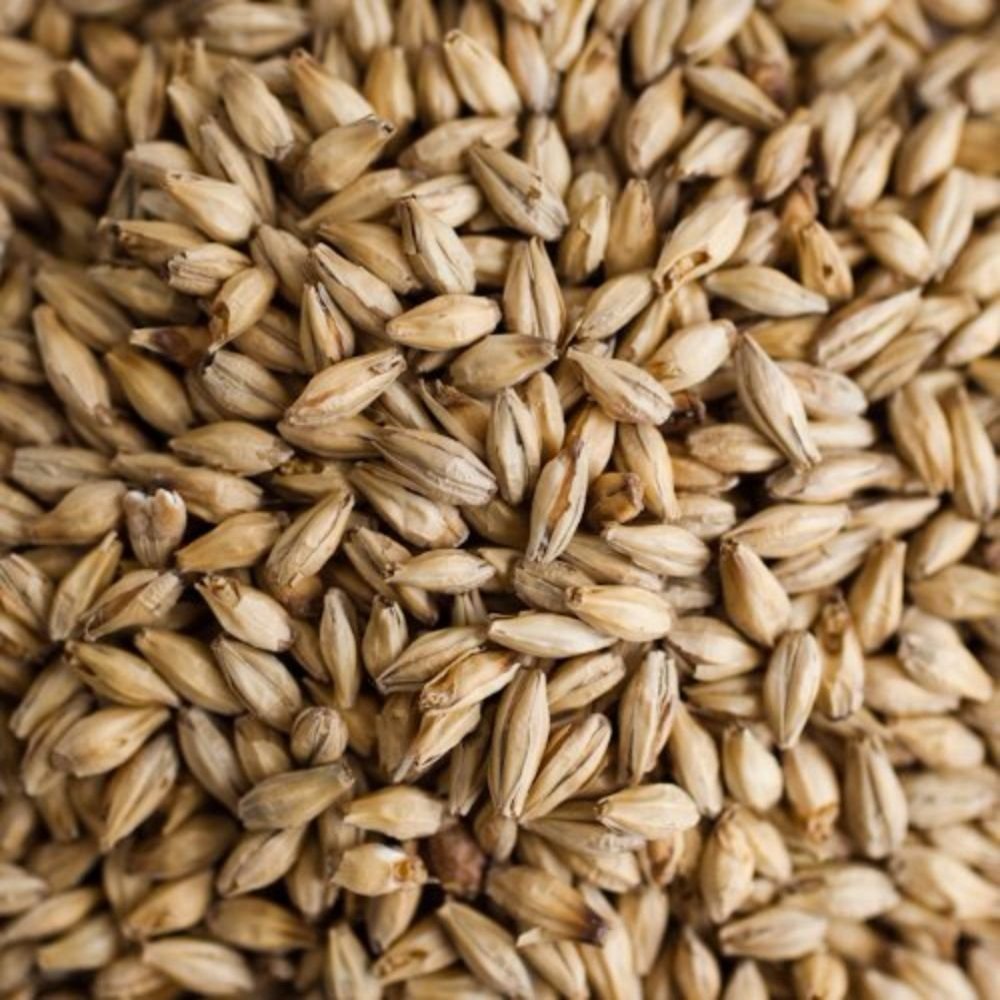 Gambrinus Honey Malt Brewing Malt Whole Grain 1lb Bag