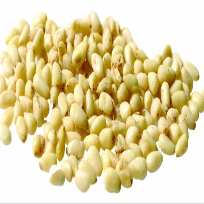Azar Pine Nuts with Pignolias, Raw, 5-Pound