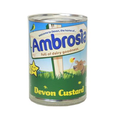 Ambrosia - Devon Custard - 400g (Case of 12)