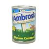 Ambrosia - Devon Custard - 400g (Case of 12) view 1