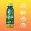 BrainJuice Brain Support Shot, Gluten Free Supplement Shots for Energy & Focus, Healthy Drinks with Alpha GPC, Vitamin B & Organic Green Tea Extract Caffeine, Peach Mango, 2.5 fl oz, 12 Pack view 3