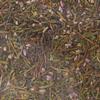 Brewer's Best Brewing Herb's and Spices - Heather Tips view 2