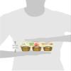 Santa Cruz Organic Cinnamon Apple Sauce Cups, 6 x 4oz (Pack of 1) view 3