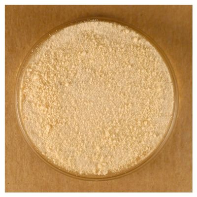 Honey Powder - 5 lbs Bulk