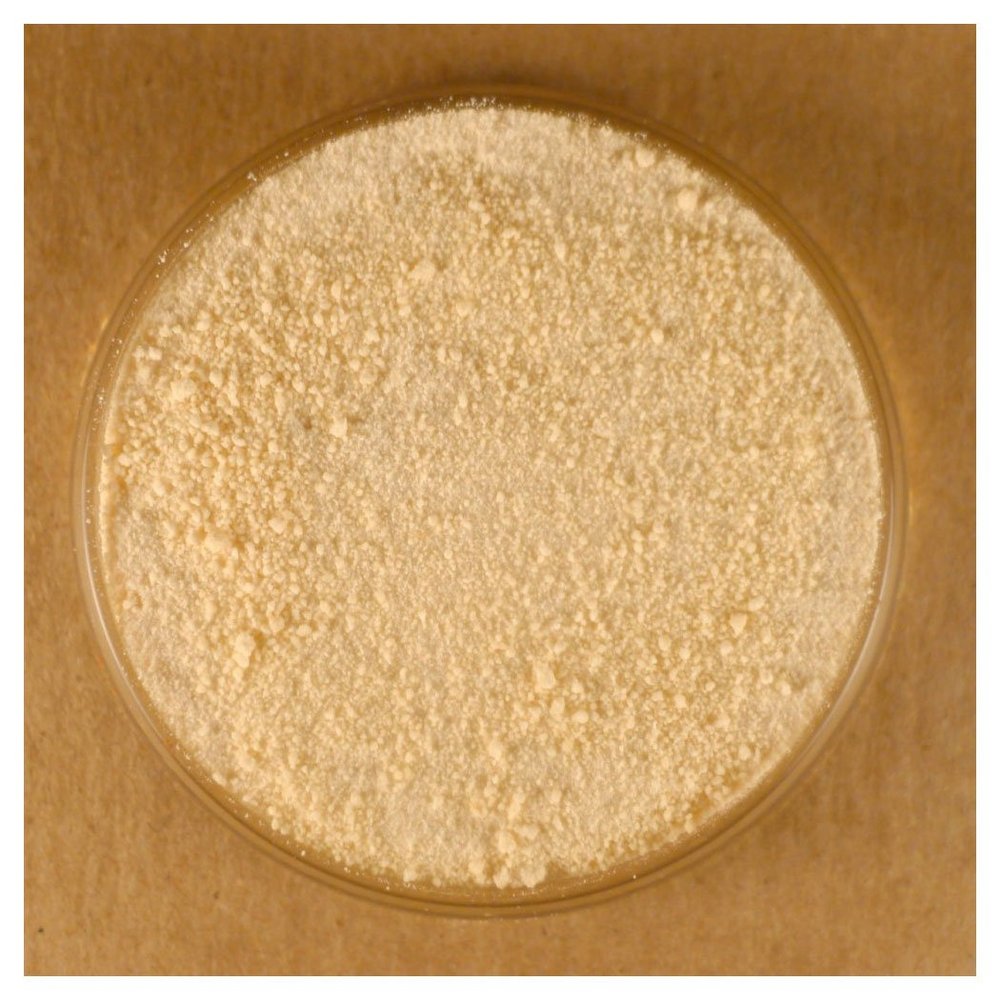 Honey Powder - 5 lbs Bulk