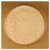 Honey Powder - 5 lbs Bulk view 1