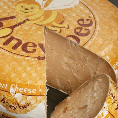 HoneyBee Goat Gouda