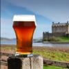 Highland Heavy Scotch Ale, Beer Making Extract Kit view 1
