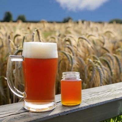 Indian Summer Honey Red Wheat, Beer Making Extract Kit
