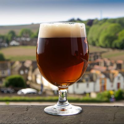 Tom Noddy Biscuit Brown Ale, Beer Making Extract Kit