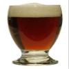 Tom Noddy Biscuit Brown Ale, Beer Making Extract Kit view 4