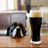 Dog Snout Stout, Beer Making Extract Kit view 1