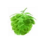 German Hallertau Hop Pellets 1 Oz.