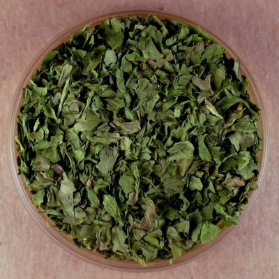 Cilantro - 10 lbs Bulk