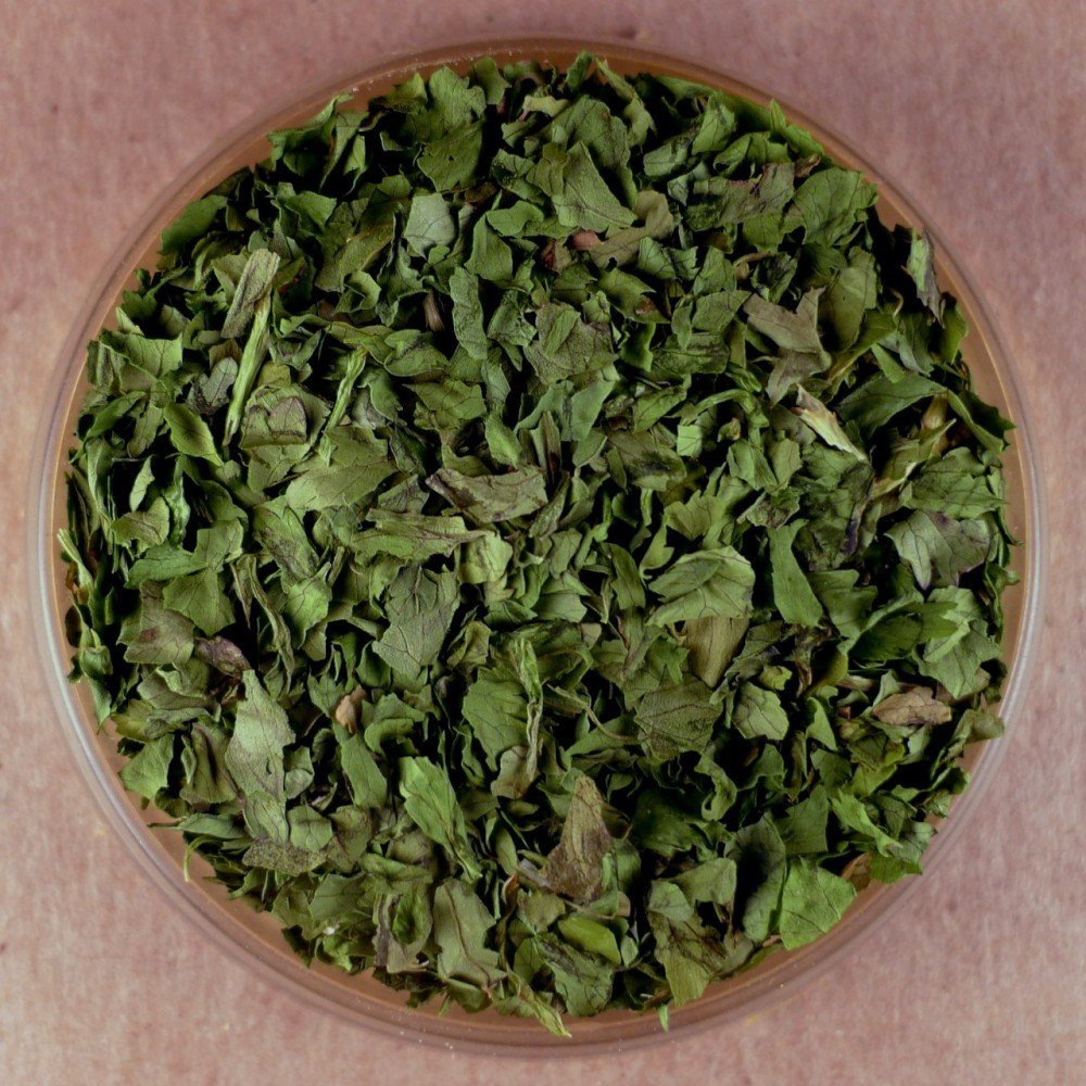 Cilantro - 10 lbs Bulk