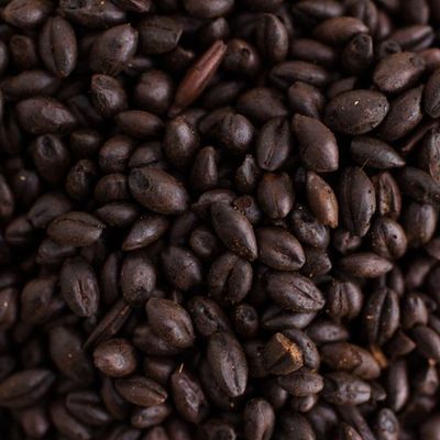 Briess Black Malt 2-Row Home Brewing Malt Whole Grain 1lb Bag