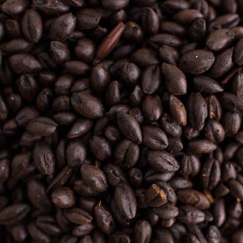 Briess Black Malt 2-Row Home Brewing Malt Whole Grain 1lb Bag