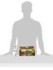 Baijia Instant Noodles, Chinese Spicy Fei-Chang Flavor, 19 Ounce view 3