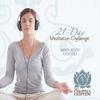 21-Day Meditation Challenge: Mind-Body Odyssey view 1