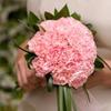 Classic Pink Carnation Bridesmaids Bouquet view 1